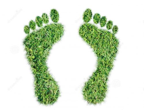 green foot pring
